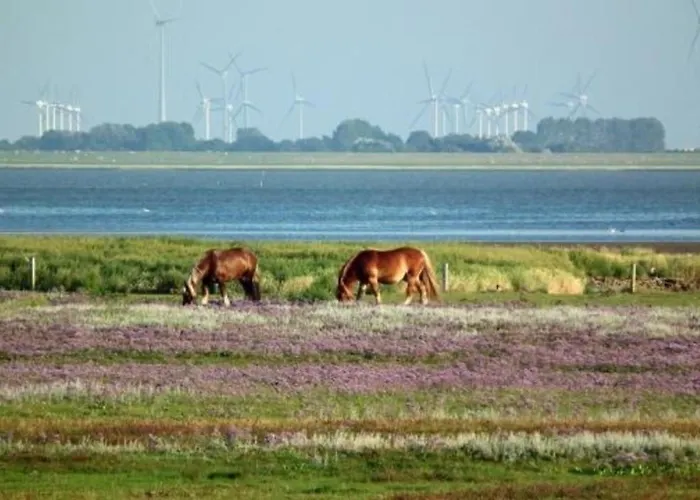 Апартаменты 1 Im Haus Wattenblick